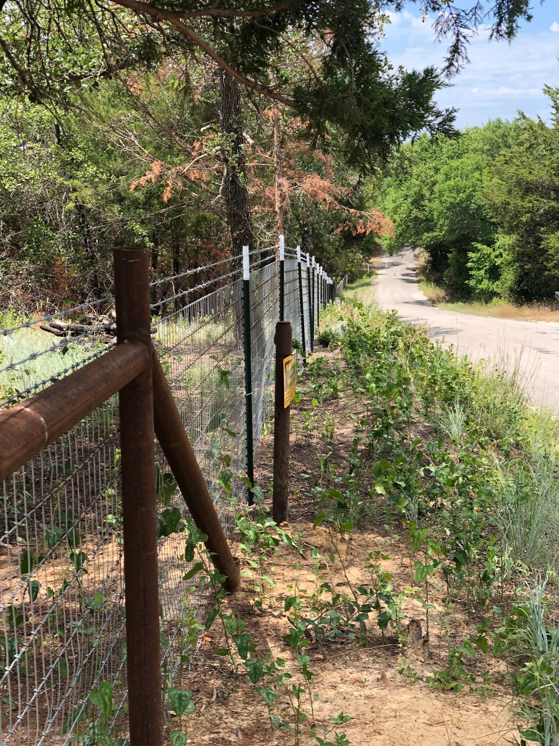 T-Post & Barbed Wire